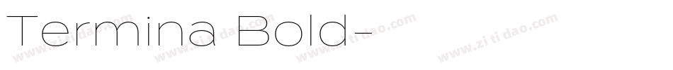 Termina Bold字体转换